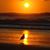 Tony Crossley's profile image