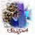 Sarah Gangestad Barnett's profile image