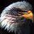 John Grof's profile image