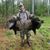 Cameron Aumiller's profile image