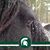 Dorie Strater's profile image