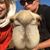 Cyrena Aarskog's profile image