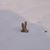 Barb Hester's profile image