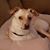 Marti Bridgers Reid's profile image