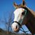Karen Fulmer's profile image