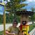 Kathy McNulty's profile image