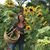 Jill Barnattan's profile image