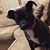 Loretta Riley's profile image