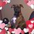 Cyndi Anderson James's profile image