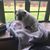 Jolie Winn's profile image