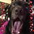 Ayc Aranda's profile image