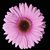 Leigh Ann's profile image