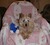 Sandy T.'s profile image