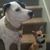 Shawna Crofford's profile image