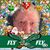 Connie Stair Grieshop's profile image