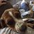 Jennifer Bixler Tabor's profile image