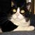 Virginia Ellen Walpert's profile image