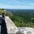 Donna Marier Vadnais's profile image
