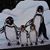 Diane Latka's profile image