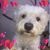 Amy J Kinsey's profile image
