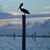 Isobel Winters's profile image