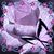Lisa Alspaugh's profile image