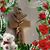 Rhonda Palmer Johnson's profile image