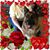 Maureen Rivers's profile image