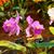 Mary Dowd Johnston's profile image