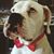 Albert Jerry Jr Ontiveros's profile image