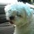 Chika Argueta's profile image