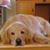 Kevin Schmoll's profile image
