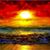 Debra Clark's profile image