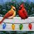 Lori Blevins's profile image