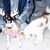 Nancy Geerts's profile image