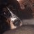 Cindy McGettigan Gunning's profile image