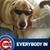 Kelly Courtney-Berdick's profile image