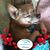 Tina Hite's profile image
