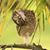 Jan Buckley Ashton's profile image