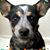 Peri Dunaway's profile image