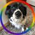 Bill Millard-Sarkis's profile image