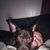 Nicholas D. Gaynor's profile image