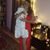 Dani Harnick's profile image