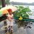 SadiaLeena Hussain's profile image