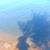 Helen Tam-Semmens's profile image