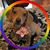 Barbara Javaras's profile image