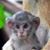 Qingping Diep's profile image