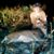 Chrissy Blalock Sullivan's profile image
