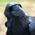 Dan Herrick's profile image