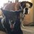 Sandy Combs Rath's profile image